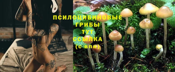 твердый Зеленодольск